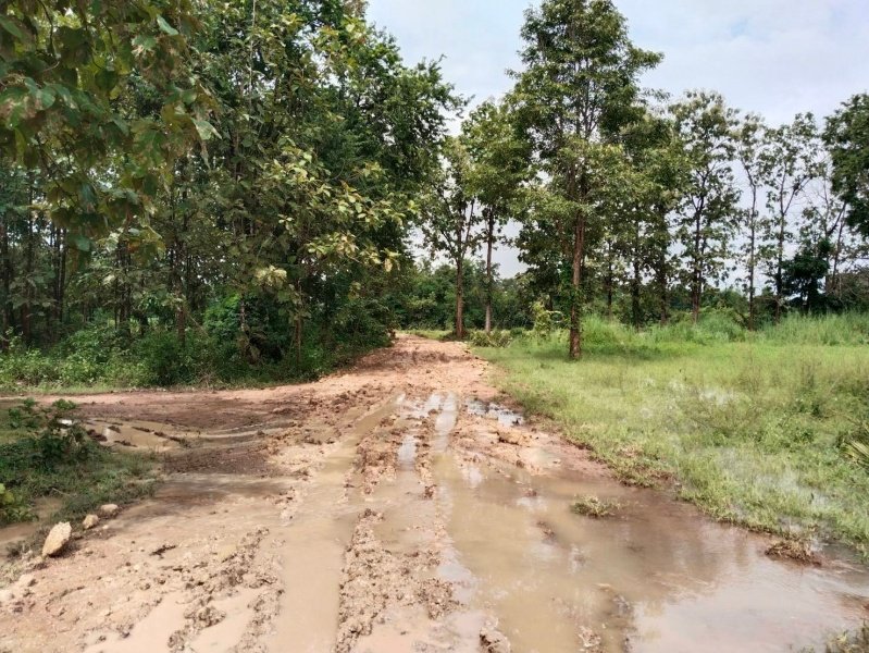 เทศบาลตำบลปักธงชัยออกช่วยเหลือผู้ได้รับความเดือดร้อนจากเหตุน้ำท่วมขังระบายไม่ทัน บ้านขอนขว้าง ม. 9 และ บ้านโรงนา ม.5 ต.เมืองปัก