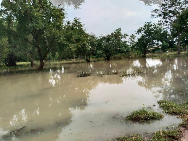 เทศบาลตำบลปักธงชัยออกช่วยเหลือผู้ได้รับความเดือดร้อนจากเหตุน้ำท่วมขังระบายไม่ทัน บ้านขอนขว้าง ม. 9 และ บ้านโรงนา ม.5 ต.เมืองปัก