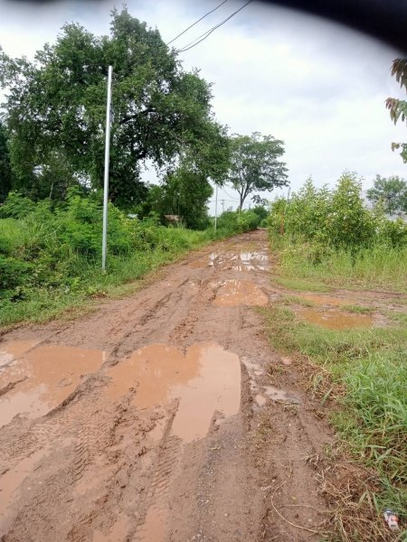 เทศบาลตำบลปักธงชัยออกช่วยเหลือผู้ได้รับความเดือดร้อนจากเหตุน้ำท่วมขังระบายไม่ทัน บ้านขอนขว้าง ม. 9 และ บ้านโรงนา ม.5 ต.เมืองปัก