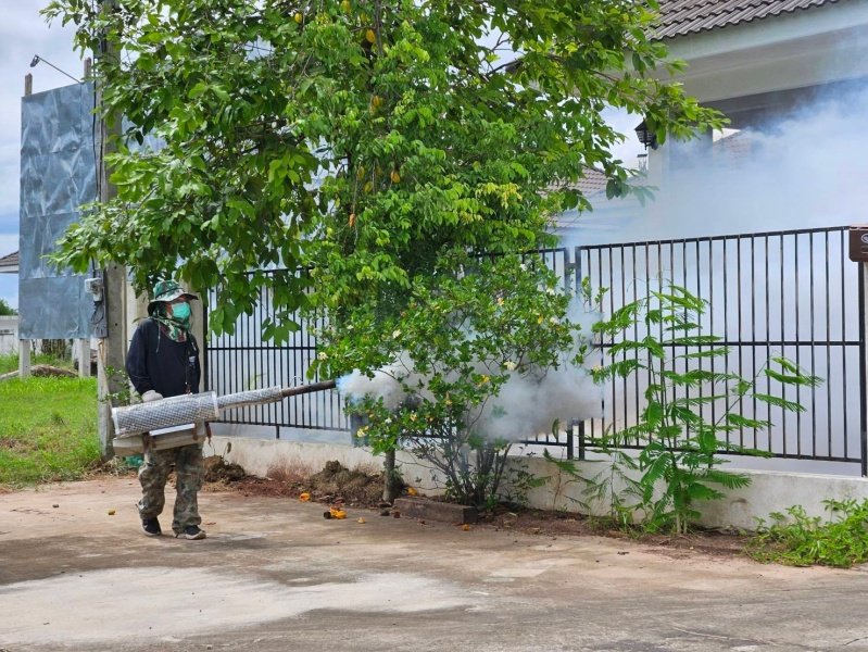 กองสาธารณสุขและสิ่งแวดล้อม เทศบาลตำบลปักธงชัย ออกพ่นหมอกควัน เพื่อกำจัดยุงลายพาหะนำโรคไข้เลือดออกให้กับประชาชนในพื้นที่