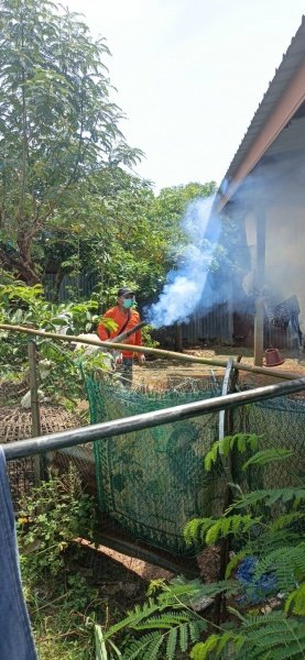กองสาธารณสุขและสิ่งแวดล้อม เทศบาลตำบลปักธงชัย ออกพ่นหมอกควัน เพื่อกำจัดยุงลายพาหะนำโรคไข้เลือดออกให้กับประชาชนในพื้นที่