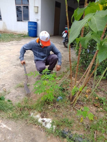 เทศบาลตำบลปักธงชัยจัดกิจกรรม 5ส ทุกวันพุธ ของสัปดาห์ พื่อความปลอดภัยในการทำงาน​​ สะสาง สะดวก สะอาด เป็นการพัฒนาสถานที่ สุขลักษณะ สร้างนิสัย เป็นการพัฒนาคน