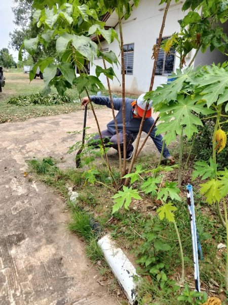 เทศบาลตำบลปักธงชัยจัดกิจกรรม 5ส ทุกวันพุธ ของสัปดาห์ พื่อความปลอดภัยในการทำงาน​​ สะสาง สะดวก สะอาด เป็นการพัฒนาสถานที่ สุขลักษณะ สร้างนิสัย เป็นการพัฒนาคน