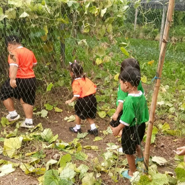 กิจกรรมพัฒนาผู้เรียนโครงการหนูน้อยตามรอยพ่อ ปฐมวัย 3 – 5 ปี 

ปีการศึกษา 2567 ณ ศูนย์สาธิตทฤษฎีใหม่ อันเนื่องมาจากพระราชดำริ 

ตำบลธงชัยเหนือ อำเภอปักธงชัย จังหวัดนครราชสีมา วันที่ 17 กรกฎาคม 2567