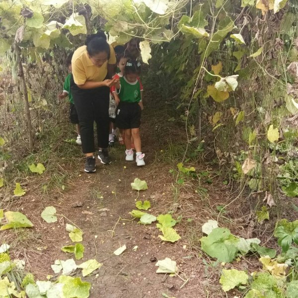 กิจกรรมพัฒนาผู้เรียนโครงการหนูน้อยตามรอยพ่อ ปฐมวัย 3 – 5 ปี 

ปีการศึกษา 2567 ณ ศูนย์สาธิตทฤษฎีใหม่ อันเนื่องมาจากพระราชดำริ 

ตำบลธงชัยเหนือ อำเภอปักธงชัย จังหวัดนครราชสีมา วันที่ 17 กรกฎาคม 2567