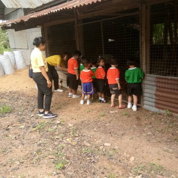 กิจกรรมพัฒนาผู้เรียนโครงการหนูน้อยตามรอยพ่อ ปฐมวัย 3 – 5 ปี 

ปีการศึกษา 2567 ณ ศูนย์สาธิตทฤษฎีใหม่ อันเนื่องมาจากพระราชดำริ 

ตำบลธงชัยเหนือ อำเภอปักธงชัย จังหวัดนครราชสีมา วันที่ 17 กรกฎาคม 2567