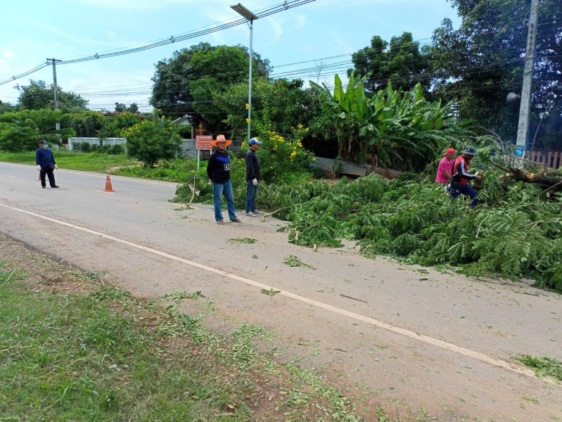 เทศบาลตำบลปักธงชัย ตัดต้นไม้เพื่อป้องกันอันตราย ประจำเดือนกรกฎาคม - กันยายน 2564 ในเขตพื้นที่เทศบาลตำบลปักธงชัย