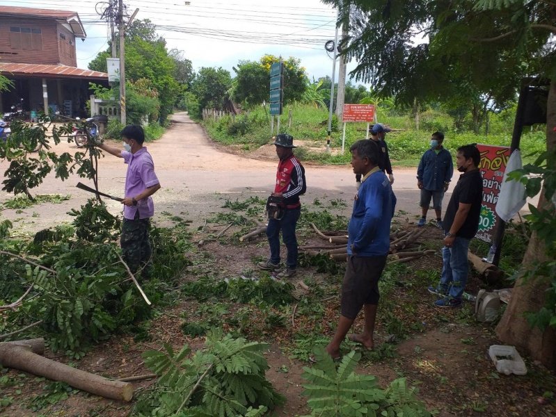 เทศบาลตำบลปักธงชัย ตัดต้นไม้เพื่อป้องกันอันตราย ประจำเดือนกรกฎาคม - กันยายน 2564 ในเขตพื้นที่เทศบาลตำบลปักธงชัย