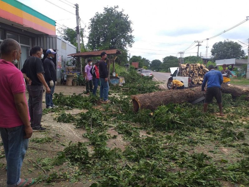 เทศบาลตำบลปักธงชัย ตัดต้นไม้เพื่อป้องกันอันตราย ประจำเดือนกรกฎาคม - กันยายน 2564 ในเขตพื้นที่เทศบาลตำบลปักธงชัย