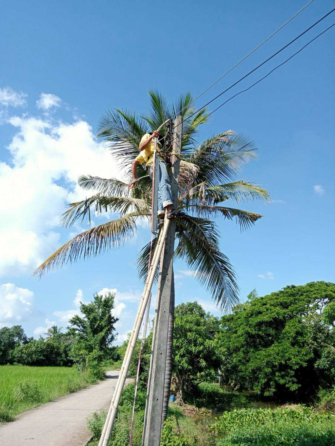 กองช่าง ซ่อมไฟ ประจำเดือน พฤศจิกายน 2567